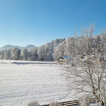 Ferienwohnungen Am Alpenrand Зигсдорф Екстериор снимка